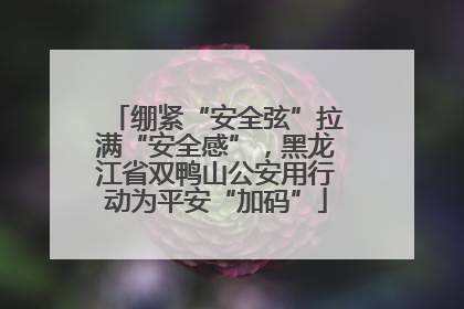 绷紧“安全弦”拉满“安全感”，黑龙江省双鸭山公安用行动为平安“加码”