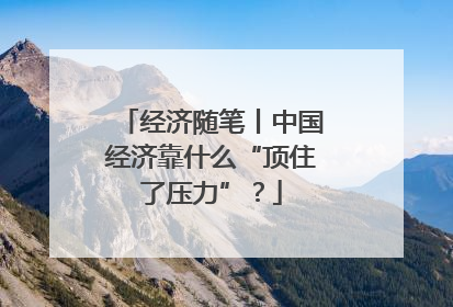 经济随笔丨中国经济靠什么“顶住了压力”？