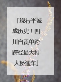 绕行半城成历史！四川自贡单跨跨径最大特大桥通车