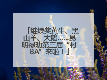 继续奖黄牛、黑山羊、大鹅……昆明禄劝第三届“村BA”来啦！