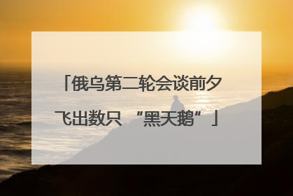 俄乌第二轮会谈前夕 飞出数只 “黑天鹅”