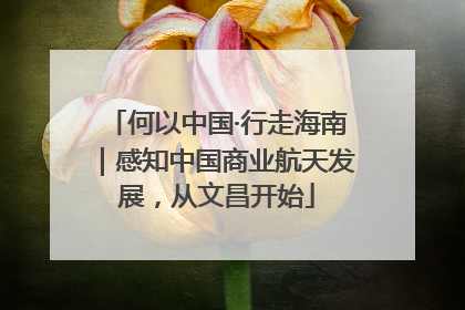 何以中国·行走海南｜感知中国商业航天发展，从文昌开始