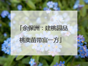 余保洲：建桃园品桃卖苗带富一方