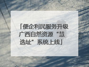便企利民服务升级 广西自然资源“慧选址”系统上线