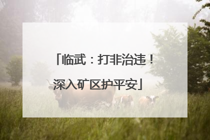 临武：打非治违！深入矿区护平安