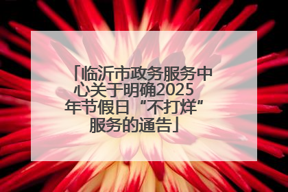 临沂市政务服务中心关于明确2025年节假日“不打烊”服务的通告