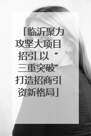 临沂聚力攻坚大项目招引 以“三重突破”打造招商引资新格局