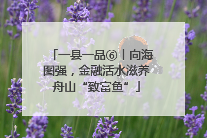 一县一品⑥丨向海图强，金融活水滋养舟山“致富鱼”