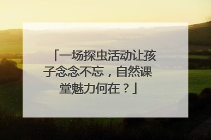 一场探虫活动让孩子念念不忘，自然课堂魅力何在？