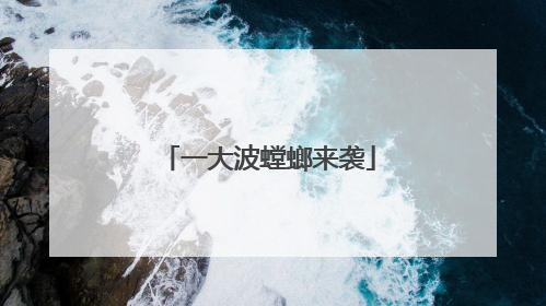 一大波螳螂来袭