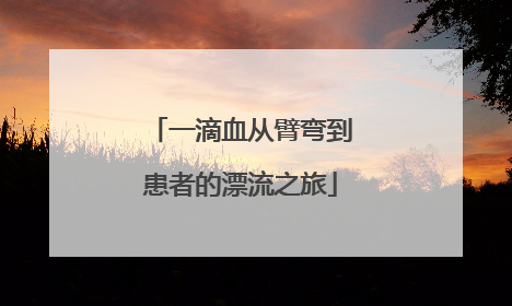 一滴血从臂弯到患者的漂流之旅