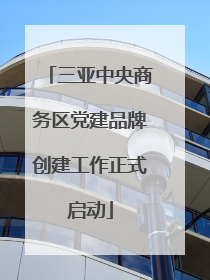 三亚中央商务区党建品牌创建工作正式启动