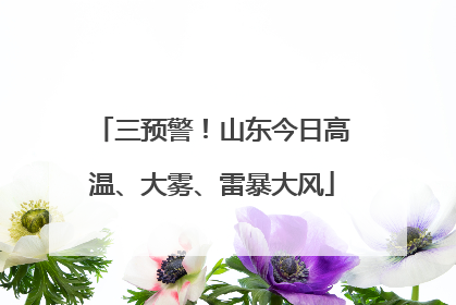 三预警！山东今日高温、大雾、雷暴大风
