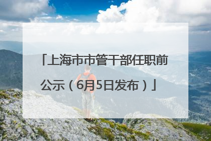 上海市市管干部任职前公示（6月5日发布）