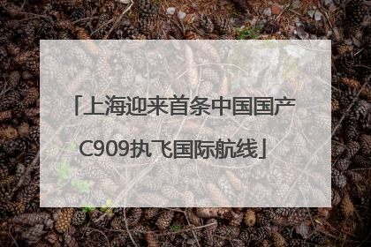 上海迎来首条中国国产C909执飞国际航线