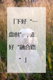 下好“一盘棋”，走好“融合路”