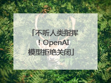 不听人类指挥！OpenAI模型拒绝关闭