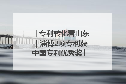 专利转化看山东｜淄博2项专利获中国专利优秀奖