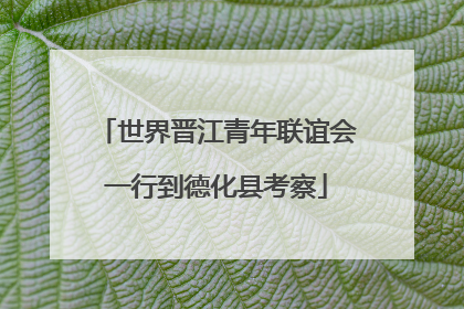 世界晋江青年联谊会一行到德化县考察