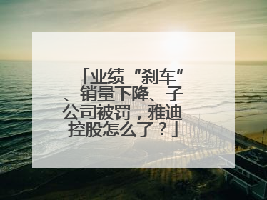 业绩“刹车”、销量下降、子公司被罚，雅迪控股怎么了？