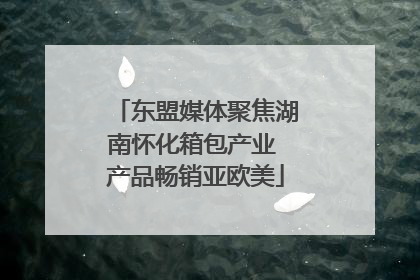东盟媒体聚焦湖南怀化箱包产业 产品畅销亚欧美
