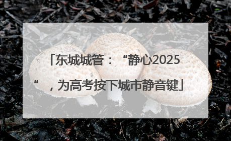 东城城管：“静心2025”，为高考按下城市静音键