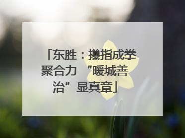 东胜：攥指成拳聚合力 “暖城善治”显真章