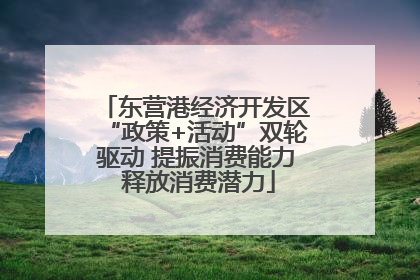 东营港经济开发区“政策+活动”双轮驱动 提振消费能力 释放消费潜力