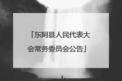 东阿县人民代表大会常务委员会公告