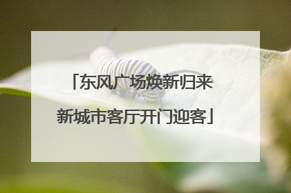 东风广场焕新归来 新城市客厅开门迎客
