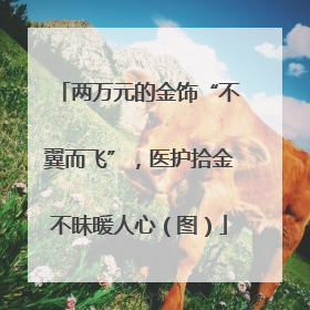两万元的金饰“不翼而飞”，医护拾金不昧暖人心（图）