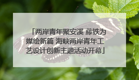 两岸青年聚安溪 藤铁为媒绘新篇 海峡两岸青年工艺设计创新主题活动开幕