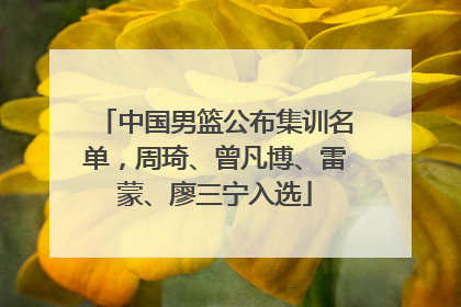 中国男篮公布集训名单，周琦、曾凡博、雷蒙、廖三宁入选