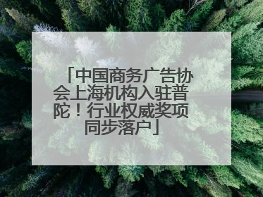 中国商务广告协会上海机构入驻普陀！行业权威奖项同步落户
