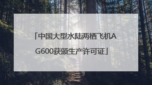 中国大型水陆两栖飞机AG600获颁生产许可证