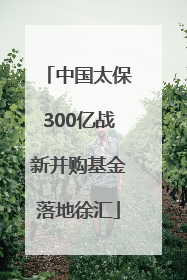 中国太保300亿战新并购基金落地徐汇