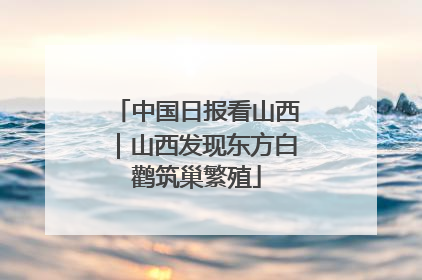 中国日报看山西｜山西发现东方白鹳筑巢繁殖