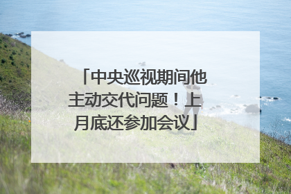 中央巡视期间他主动交代问题！上月底还参加会议