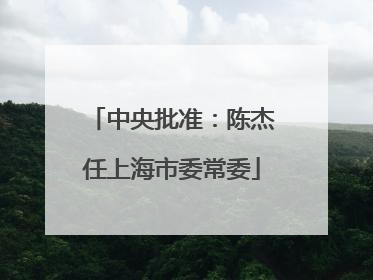 中央批准：陈杰任上海市委常委
