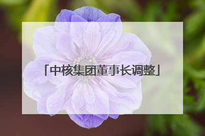 中核集团董事长调整