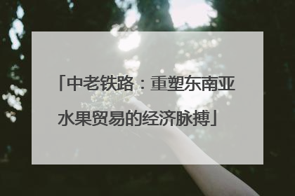 中老铁路：重塑东南亚水果贸易的经济脉搏