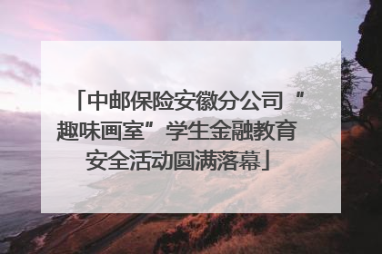 中邮保险安徽分公司“趣味画室”学生金融教育安全活动圆满落幕