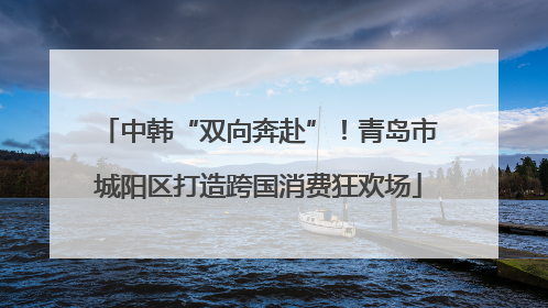 中韩“双向奔赴”！青岛市城阳区打造跨国消费狂欢场