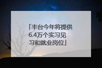 丰台今年将提供6.4万个实习见习和就业岗位