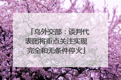 乌外交部：谈判代表团将重点关注实现完全和无条件停火