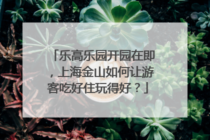 乐高乐园开园在即，上海金山如何让游客吃好住玩得好？