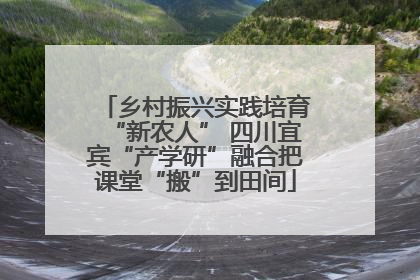 乡村振兴实践培育“新农人” 四川宜宾“产学研”融合把课堂“搬”到田间