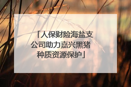 人保财险海盐支公司助力嘉兴黑猪种质资源保护