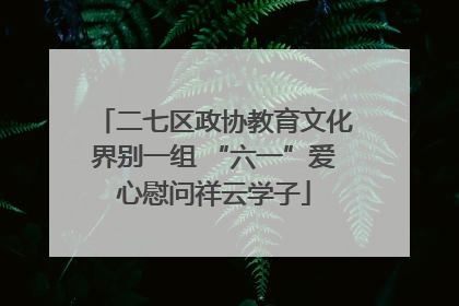 二七区政协教育文化界别一组 “六一”爱心慰问祥云学子