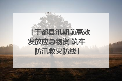 于都县汛期前高效发放应急物资 筑牢防汛救灾防线